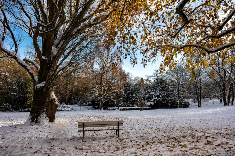 Kiel Forstbaumschule