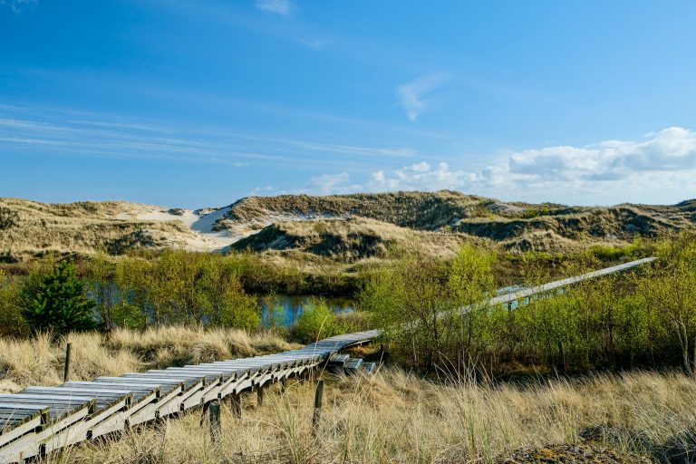 Amrum Wittdün Bohlenweg