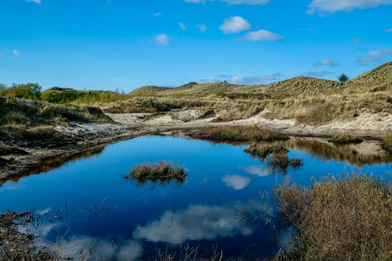 Amrum Wittdün Froschteich