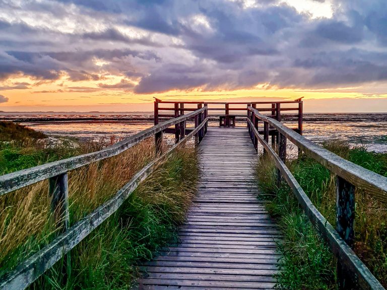 Amrum Nebel Vogelbeobachtung Bohlenweg